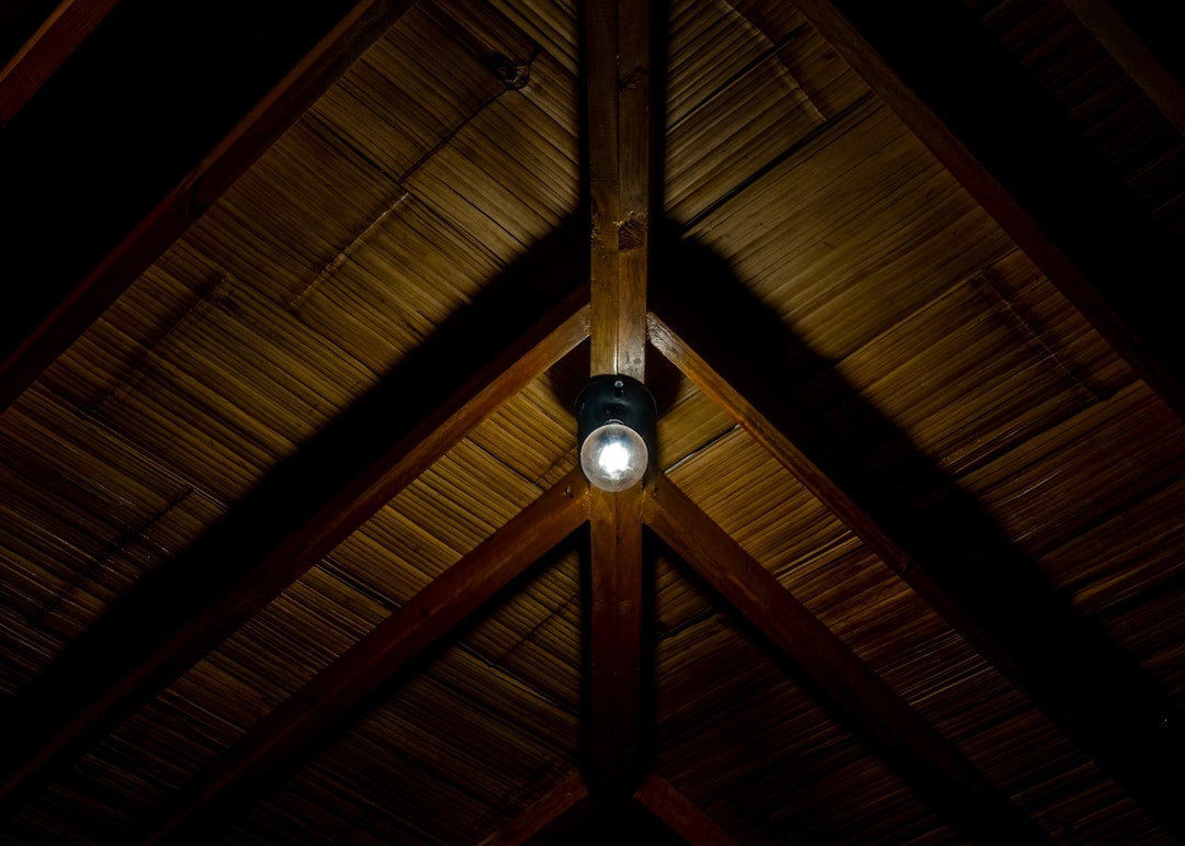 Photo French living room ceiling light